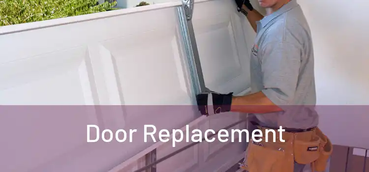  Door Replacement 