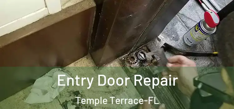  Entry Door Repair Temple Terrace-FL