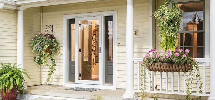screen door installation in Temple Terrace