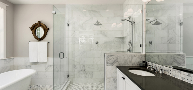 bathroom shower door installation in Temple Terrace