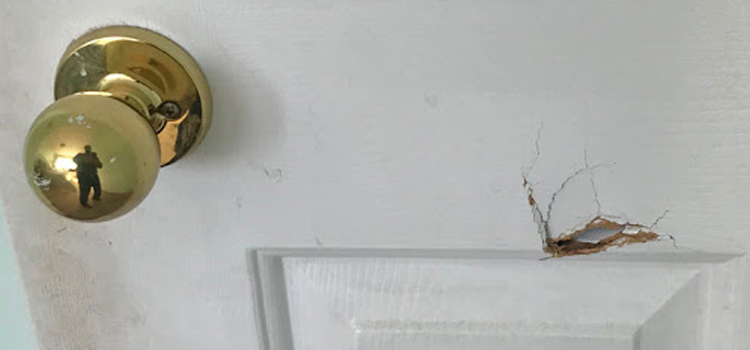interior door hole repair Temple Terrace