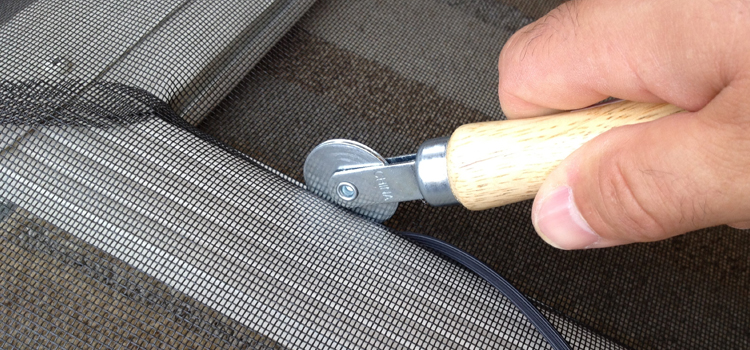 metal screen door repair in Temple Terrace