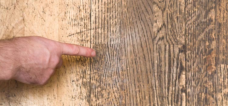 Wood Door Scratch Repair in Temple Terrace