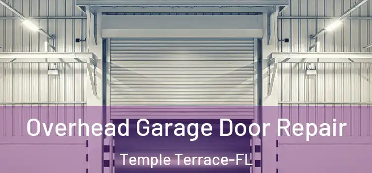  Overhead Garage Door Repair Temple Terrace-FL