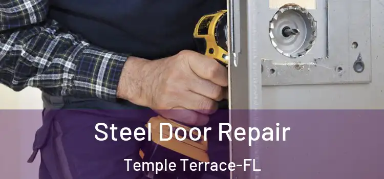  Steel Door Repair Temple Terrace-FL